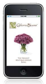 E-Retailer Launches iPhone App