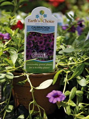 Growing Green: Words For The Wise
