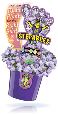 Stepables Redesign To Simplifying Consumer Purchasing