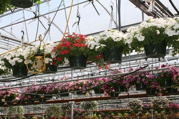 Take Greenhouse Grower’s 2015 Spring Recap Survey