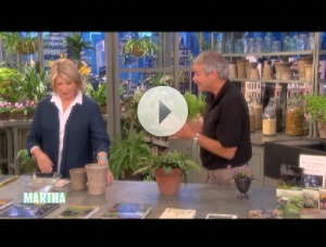Allan Teaches Martha A Thing Or Two