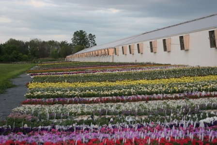 Talking Shop: Maximizing Space