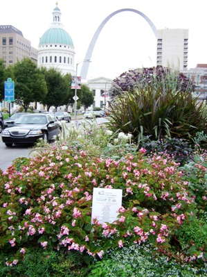 America In Bloom Announces Winning Cities