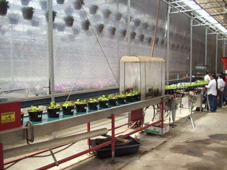 Garden State’s Conveyors: Advanced Automation