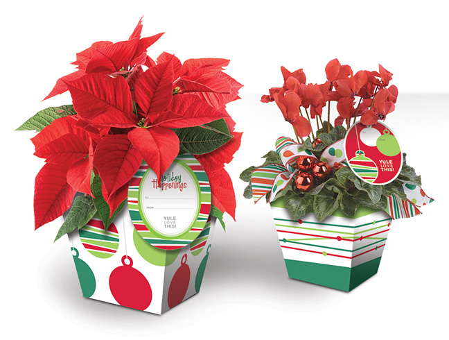 John Henry Debuts Holiday Cachepot Collection