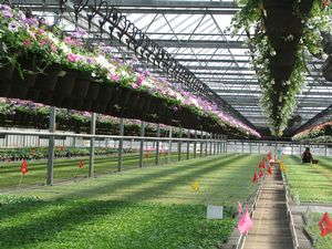 Heartland Growers