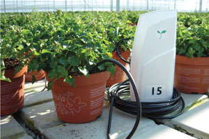 Precision Horticulture: What Piece Of Equipment Or System Helps You Streamline Production?