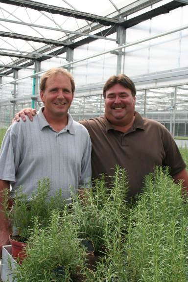 Elzinga & Hoeksema Greenhouses