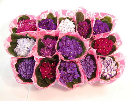 Positioning Your Products For V-Day