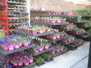 Metrolina Market Report