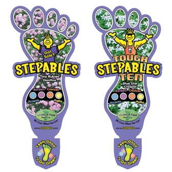 Stepables Changing Up Look For 2011