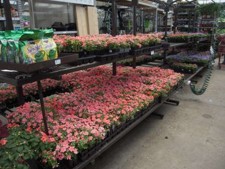 Color Point Creates New Marketing And Communications Department, Hires Naomi Maloney As Its Director