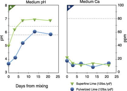 Understanding Plant Nutrition: Limestone, Calcium And Magnesium