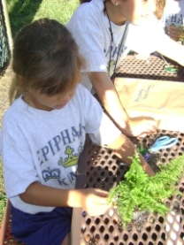 FIRST Foliage Teaches Kids About Plants