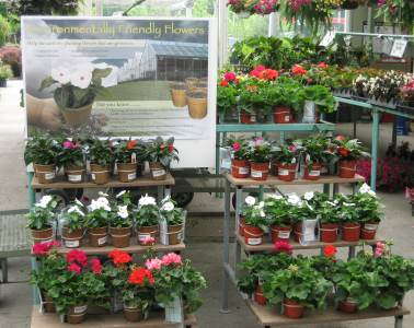 Growing Green: Teaming Up To Teach