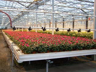 Nurserymen’s Exchange Names COO, Plans For Future