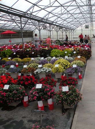 Welby’s Top Container Varieties Of 2010