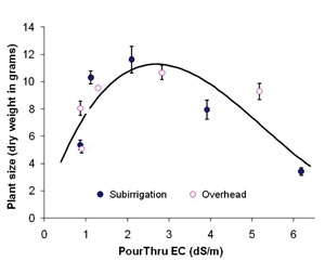 Salts In Greenhouse Crops: Don’t Get Burned