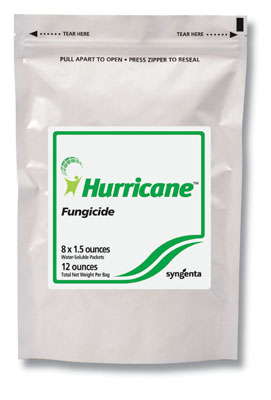 Protecting Against Root Rot