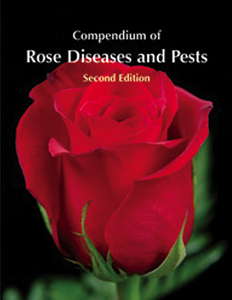 Raising Roses
