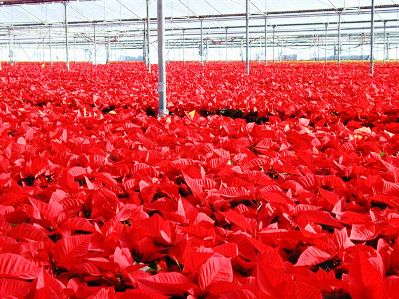 Checking In With Rocket Farms