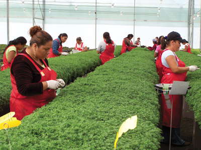 Proposed Worker Protection Standard Changes You Need To Know About
