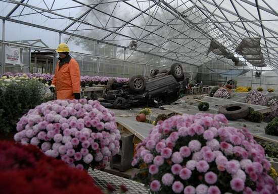 SUV Crashes Into Michigan Greenhouse