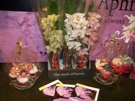 Slideshow: FloraHolland Trade Fair