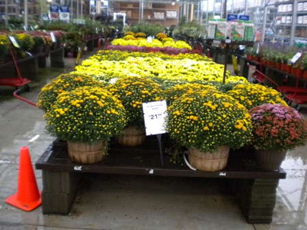 Montgomery Reports On Fall Retail