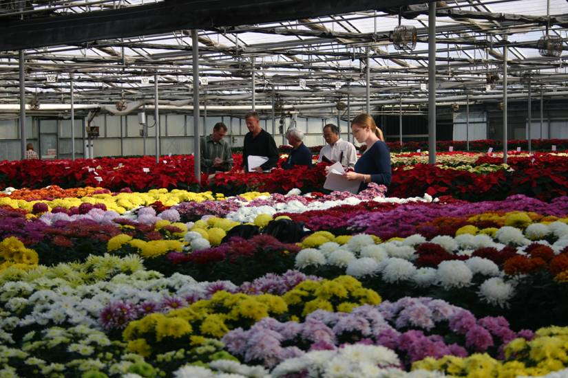 Inviting Buyers Into Your Greenhouse