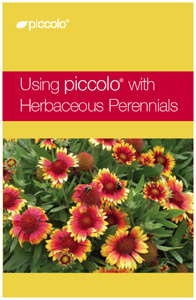 Plant Growth Regulators And Perennials