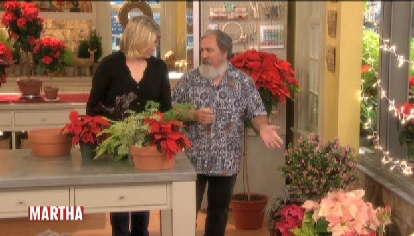 Traven On ‘The Martha Stewart Show’