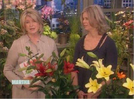 ‘Martha’ Showcases Foreign Lily Hybrids