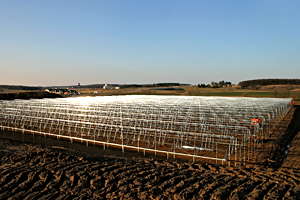 Setting The Standard