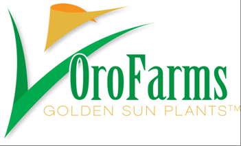 Heins On Oro Farms’ Future