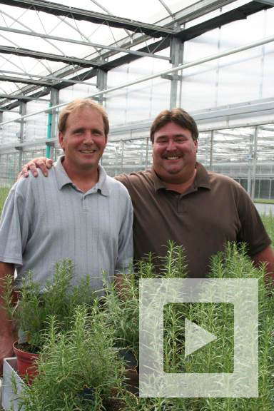 Elzinga And Hoeksema: Partners In Progress