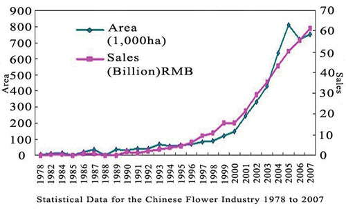Opportunity In China