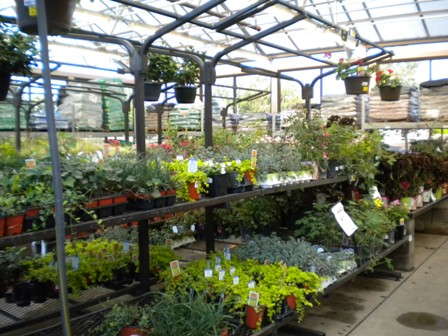 Slideshow: Colorado Retailers