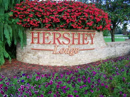 America In Bloom Announces Winning Cities