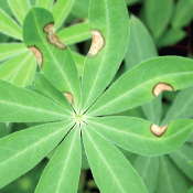 New Crop Protection Products And Label Updates