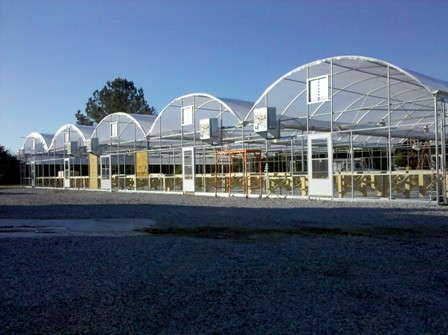 Emerald Coast Expands Perennial Propagation Space