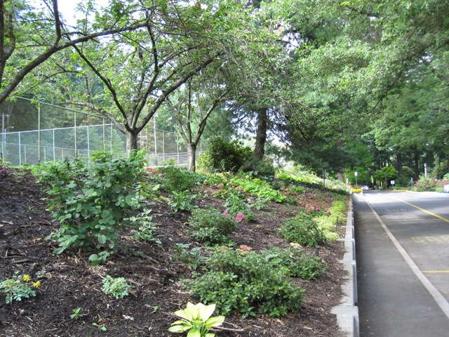 Terra Nova Donates 2,500 Perennials