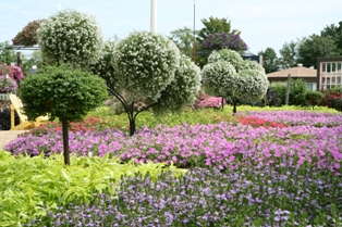 Pleasant View Makes Spring Trials Accessible