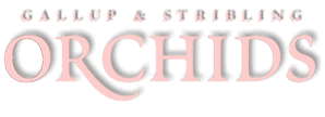 Gallup & Stribling Orchids Inc.