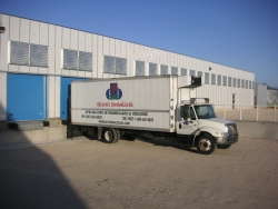 DeLeon’s Bromeliads Inc.