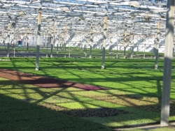 Floral Plant Growers