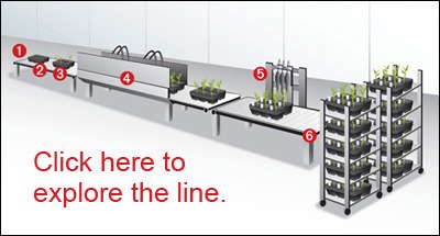 Transplanter Tuneup