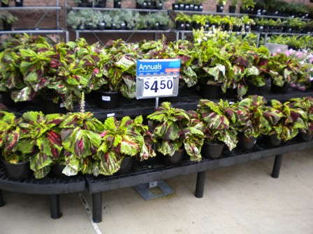 Montgomery’s Columbus Retail Report