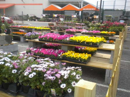 Montgomery Retail Report: New York