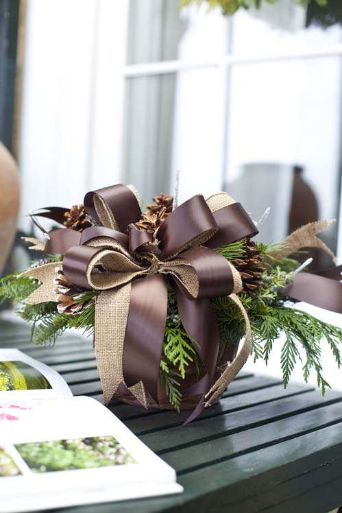 Berry Family Partners On P. Allen Smith Holiday Collection